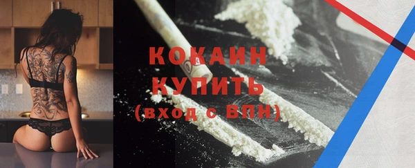 spice Богданович