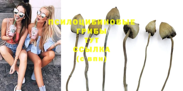 spice Богородицк