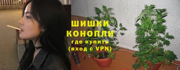 spice Богданович
