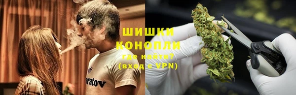 spice Богородицк