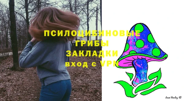 spice Богданович