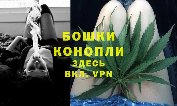 spice Богородицк