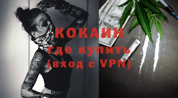 spice Богородицк
