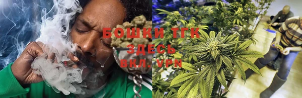 spice Богородицк