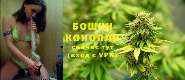 spice Богородицк