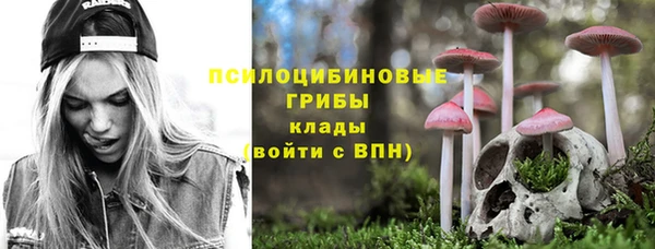 молекула духа Богородск