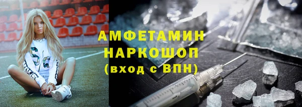 молекула духа Богородск