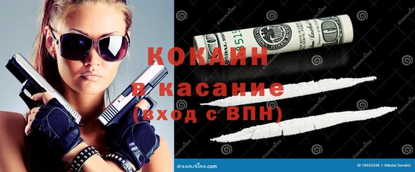 spice Богородицк