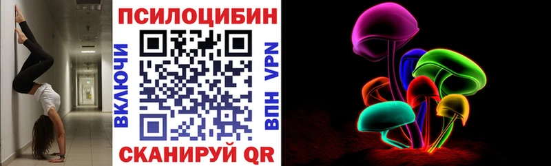 Купить закладки  Сольвычегодск  Псилоцибиновые грибы Psilocybine cubensis 